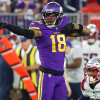 Minnesota Vikings